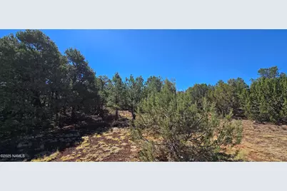 1426 W Antelope Lane, Williams, AZ 86046 - Photo 5
