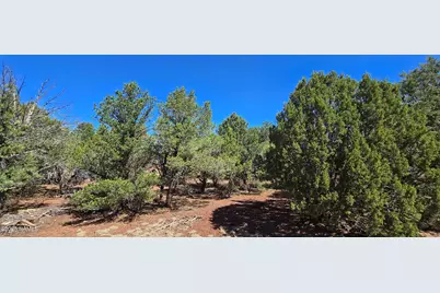 1426 W Antelope Lane, Williams, AZ 86046 - Photo 11