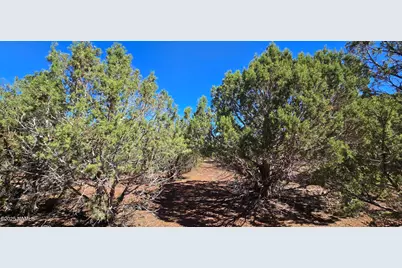 1426 W Antelope Lane, Williams, AZ 86046 - Photo 17