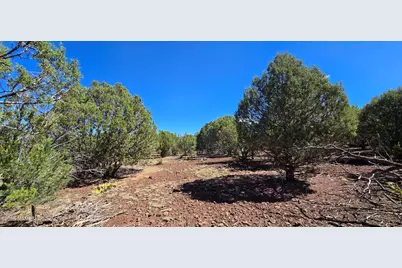 1426 W Antelope Lane, Williams, AZ 86046 - Photo 15