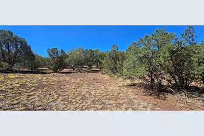 1426 W Antelope Lane, Williams, AZ 86046 - Photo 9