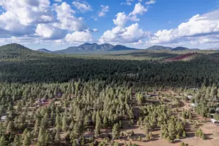 129 N Spitz Spring Rd, Parks, AZ 86018 - Photo 49