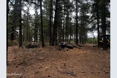 129 N Spitz Spring Road, Parks, AZ 86018 - Photo 5