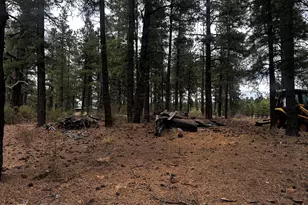 129 N Spitz Spring Rd, Parks, AZ 86018 - Photo 5