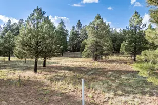 129 N Spitz Spring Rd, Parks, AZ 86018 - Photo 57