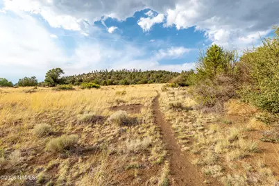 8200 Sleeping Dog Road, Flagstaff, AZ 86004 - Photo 5