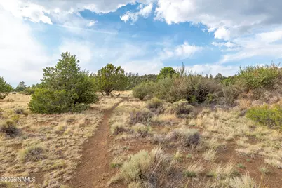 8200 Sleeping Dog Road, Flagstaff, AZ 86004 - Photo 19
