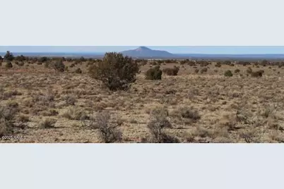 2447 E Wingfield Road, Williams, AZ 86046 - Photo 5