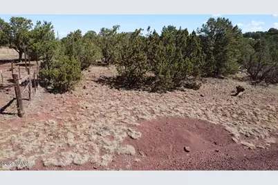 1665 W Maverick Lane, Williams, AZ 86046 - Photo 3