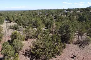 1665 W Maverick Ln, Williams, AZ 86046 - Photo 1