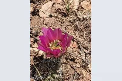 2515 E Wingfield Road, Williams, AZ 86046 - Photo 9