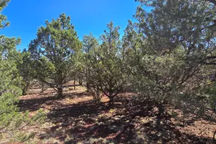 1601 W Wolf Ln, Williams, AZ 86046 - Photo 1