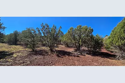 1601 W Wolf Lane, Williams, AZ 86046 - Photo 9