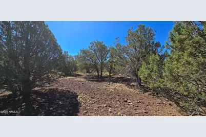 1601 W Wolf Lane, Williams, AZ 86046 - Photo 13