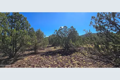 1601 W Wolf Lane, Williams, AZ 86046 - Photo 11