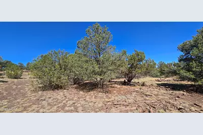 1693 W Maverick Lane, Williams, AZ 86046 - Photo 5