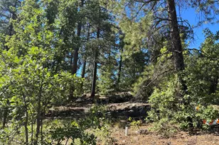 46 E Oak Dr, Munds Park, AZ 86017 - Photo 1