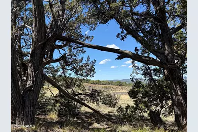 000 Off Palomino Dr, Williams, AZ 86046 - Photo 1