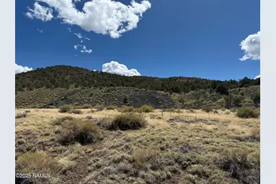 000 Off Palomino Dr, Williams, AZ 86046 - Photo 3