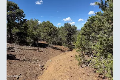 000 Off Palomino Dr, Williams, AZ 86046 - Photo 7
