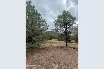 1269 E Tamarack Street, Williams, AZ 86046 - Photo 9