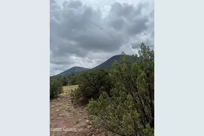 1269 E Tamarack Street, Williams, AZ 86046 - Photo 3