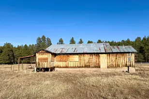 12405 Forest Service 772, Flagstaff, AZ 86005 - Photo 5