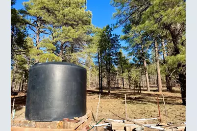 12405 Forest Service 772, Flagstaff, AZ 86005 - Photo 9