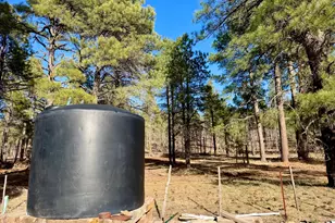 12405 Forest Service 772, Flagstaff, AZ 86005 - Photo 9