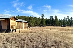 12405 Forest Service 772, Flagstaff, AZ 86005 - Photo 3