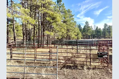 12405 Forest Service 772, Flagstaff, AZ 86005 - Photo 11