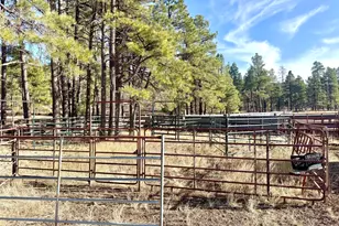 12405 Forest Service 772, Flagstaff, AZ 86005 - Photo 11