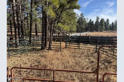 12405 Forest Service 772, Flagstaff, AZ 86005 - Photo 9