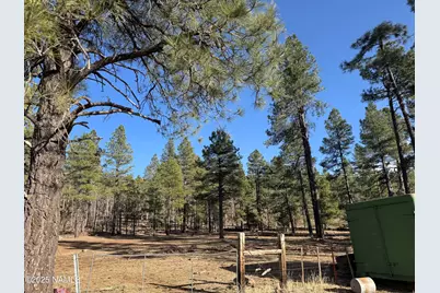 12405 Forest Service 772, Flagstaff, AZ 86005 - Photo 11