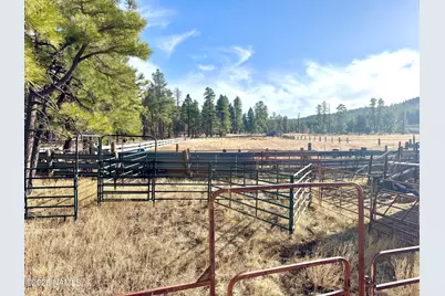 12405 Forest Service 772, Flagstaff, AZ 86005 - Photo 13