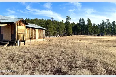 12405 Forest Service 772, Flagstaff, AZ 86005 - Photo 3