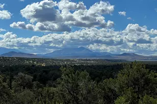 6197 Bird Dog Cir, Williams, AZ 86046 - Photo 47