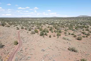 6197 Bird Dog Cir, Williams, AZ 86046 - Photo 75