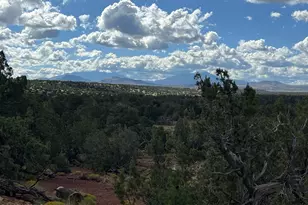 6197 Bird Dog Cir, Williams, AZ 86046 - Photo 51