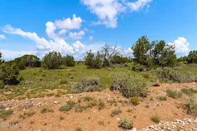 4441 Indian Meadows Road, Williams, AZ 86046 - Photo 21