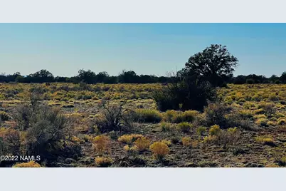 4117 Red Butte Road #Lot B, Williams, AZ 86046 - Photo 5