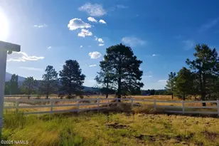 12970 Doyle Rd, Flagstaff, AZ 86004 - Photo 5