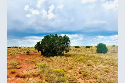 2819 E Lynwood Road, Williams, AZ 86046 - Photo 5