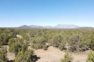 6339 N Bluefield Rd, Flagstaff, AZ 86004 - Photo 73