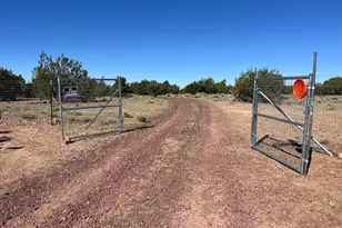 613 E Mountain Cat Rd, Williams, AZ 86046 - Photo 5