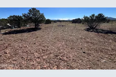 613 E Mountain Cat Road, Williams, AZ 86046 - Photo 31