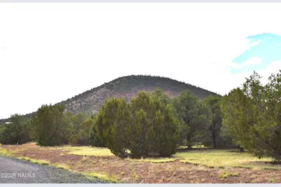 7748 Daisy Drive, Williams, AZ 86046 - Photo 9