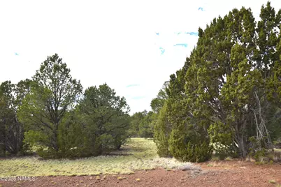 7748 Daisy Drive, Williams, AZ 86046 - Photo 11