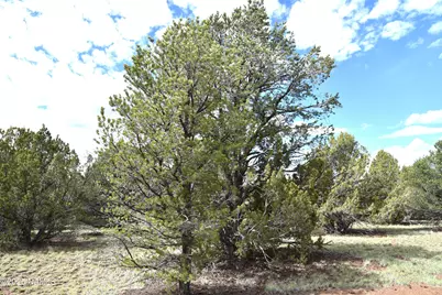 7748 Daisy Drive, Williams, AZ 86046 - Photo 15