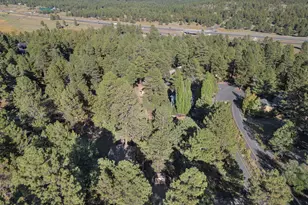 4449 Canyon Loop, Flagstaff, AZ 86005 - Photo 33